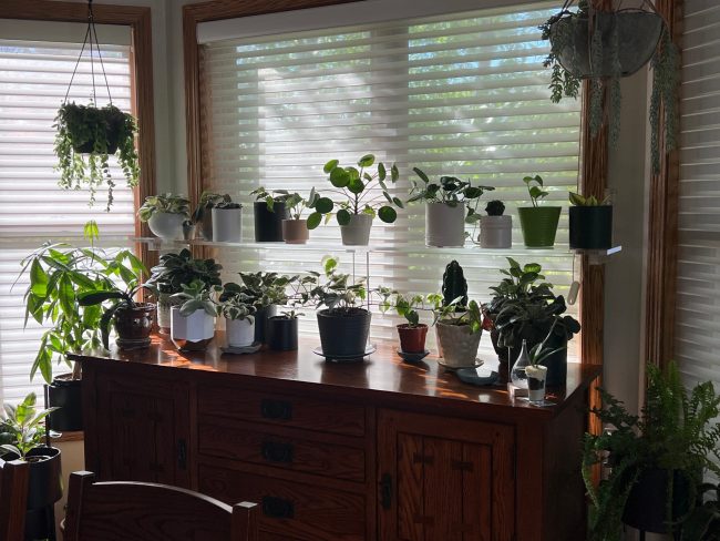 Acrylic garden shelf