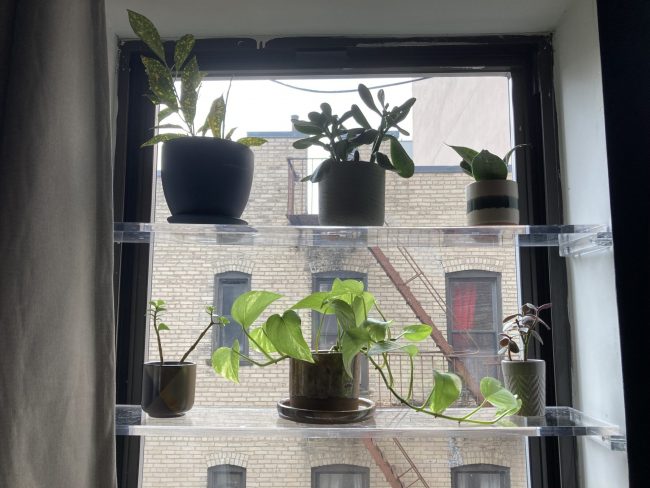 Acrylic garden window shelf