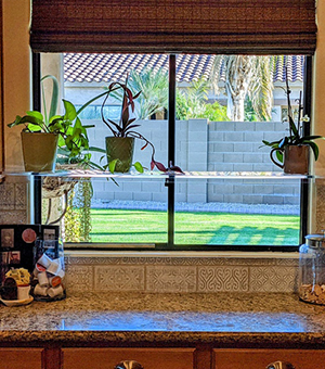 Acrylic Window Shelves